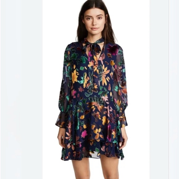Alice + Olivia 'Moore' Velvet Burnout V-Neck Tiered Mini Dress Sz L Fairy Whimsy - Picture 1 of 15